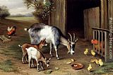 Goats And Poultry by Edgar Hunt